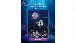 IGI Expressions 2025–26 Announces Nine Winners from 1,000+ Global Entries